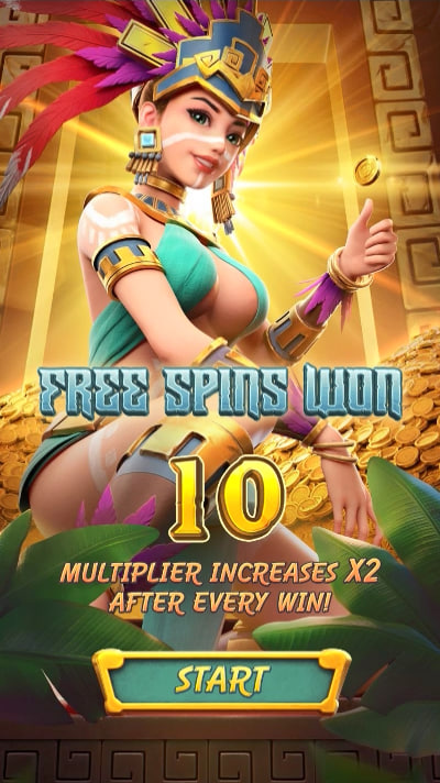 Aposta bets